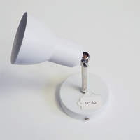 "Inspector 2.0" Adjustable Wall Light (Outlet)