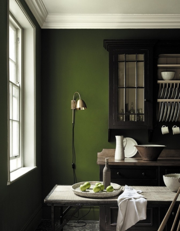 Easy Plug-In Options