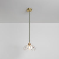 "Petal" Pendant Light - Clear Glass