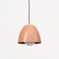 "Lulu" Pendant Light - Colour Series
